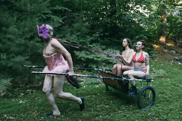 KinkBnB: Human pony cart at La Domaine Esemar